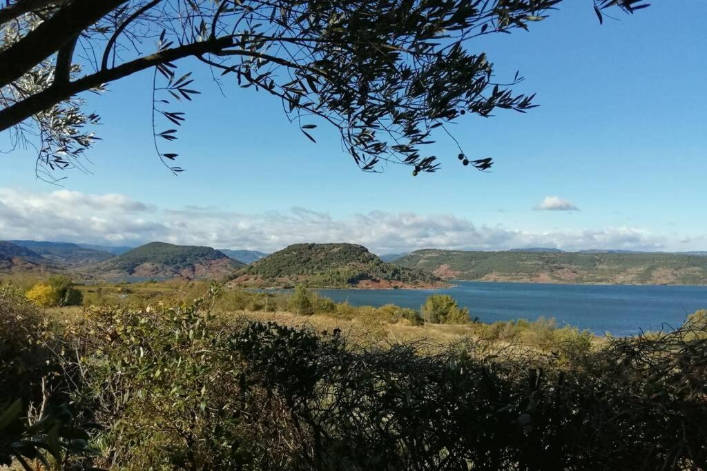 Studio 32M2 - Dans Propriete Avec Vue Imprenable Sur Le Lac Du Salagou Liausson エクステリア 写真
