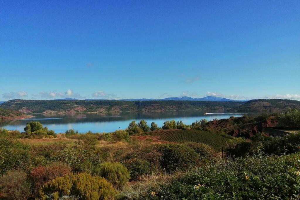 Studio 32M2 - Dans Propriete Avec Vue Imprenable Sur Le Lac Du Salagou Liausson エクステリア 写真