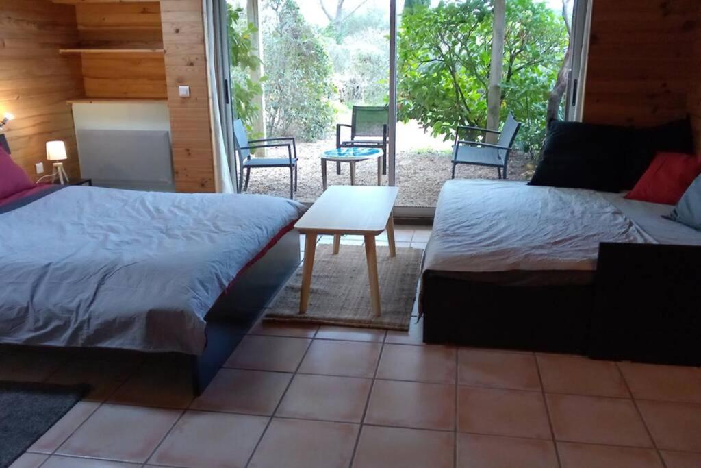 Studio 32M2 - Dans Propriete Avec Vue Imprenable Sur Le Lac Du Salagou Liausson エクステリア 写真